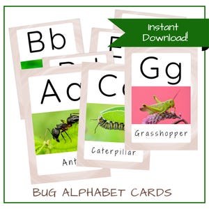 ABC Insekt & Käfer Themen Frühjahre Lern-Lernkarten, A-Z Alphabet Montessori Vorschul-Themen-Digital-Download-Wand-Präsentation