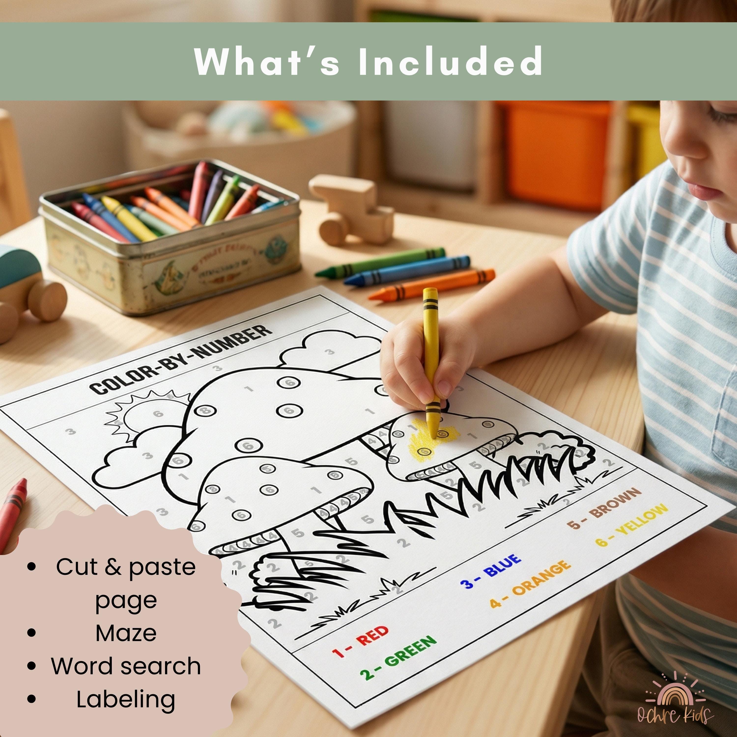 Life Cycle Worksheets for Kids | Mushroom Science Printable Activity ...