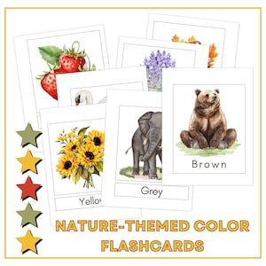 Bearbeitbare Farbkartei zum Thema Natur | Montessori Kleinkind lernen Printable | PLR MRR