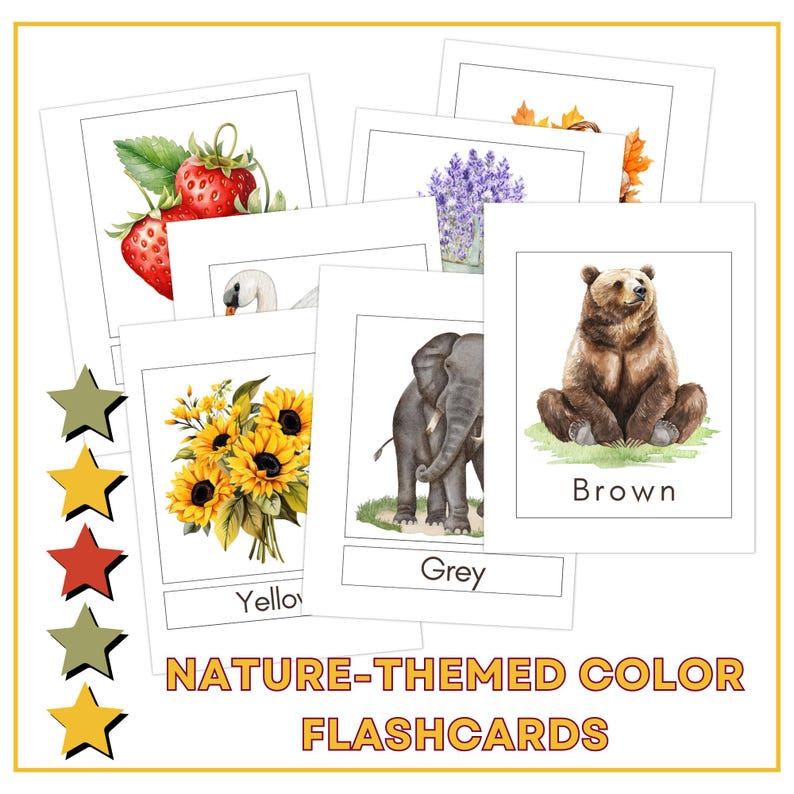 Nature Color Flashcards | Montessori Learning, Canva Template (digital ...