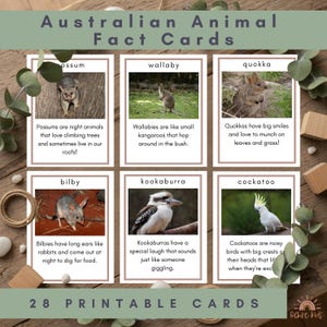 May include: A set of 28 printable Australian Animal Fact Cards. Each card displays a photo and facts about animals such as possums, wallabies, quokkas, bilbies, kookaburras, and cockatoos. The cards are designed for educational use.