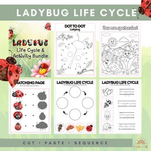 May include: A collection of printable ladybug-themed activity pages. The pages include a dot-to-dot, coloring pages, matching activities, and a ladybug life cycle diagram. The title "LADYBUG LIFE CYCLE" is at the top.