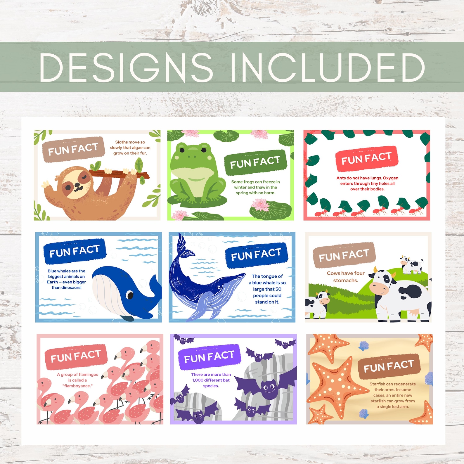 Animal Fun Facts Cards Lunchbox Notes for Kids Preschool Learning Cards ...