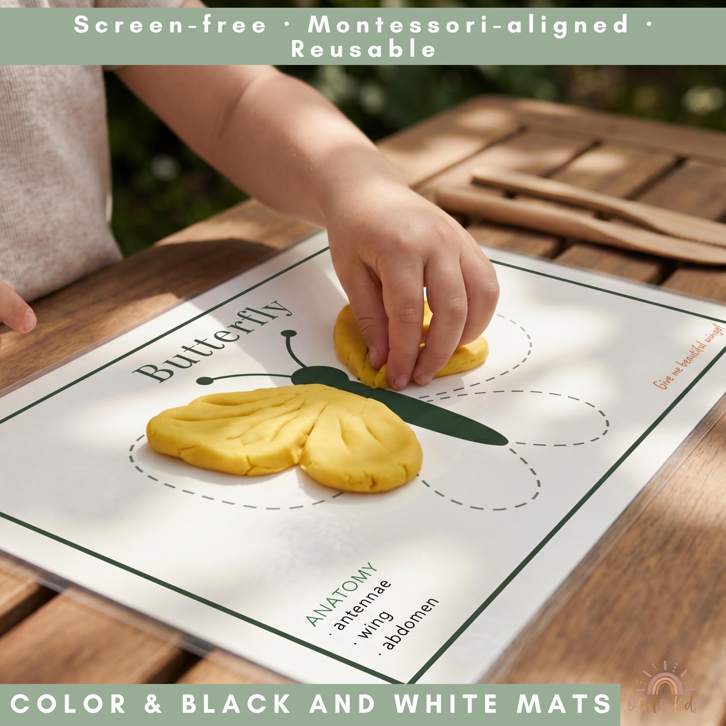 Insect Playdough Mats Printable, Bug Activities for Preschool, Insect ...