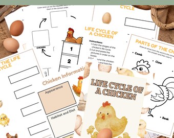 Chicken Life Cycle Printable Worksheets Farm Animal Science Unit Study Preschool Kindergarten Sequencing Activities Homeschool Printable