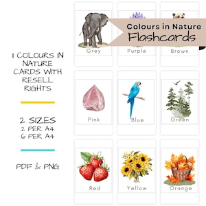 Kleurbewerkbare voorschoolse flashcards met natuurthema, MRR en PLR Montessori geïnspireerde kleurherkenning voor peuters afdrukbaar leermateriaal