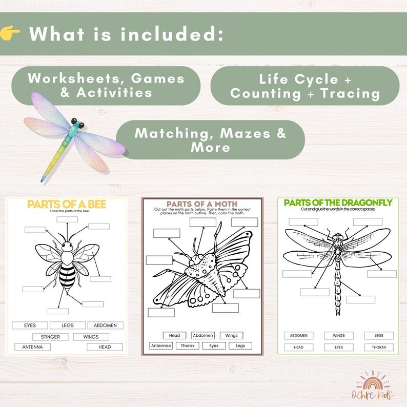 Moth Tracing Life Cycle Unit Study Bundle for Kids Ages 3–7, Insect & Animal Life ...
