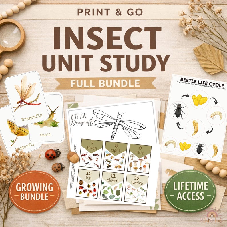 Insect Unit Study Homeschool Printable Bundle | Preschool Bug ...