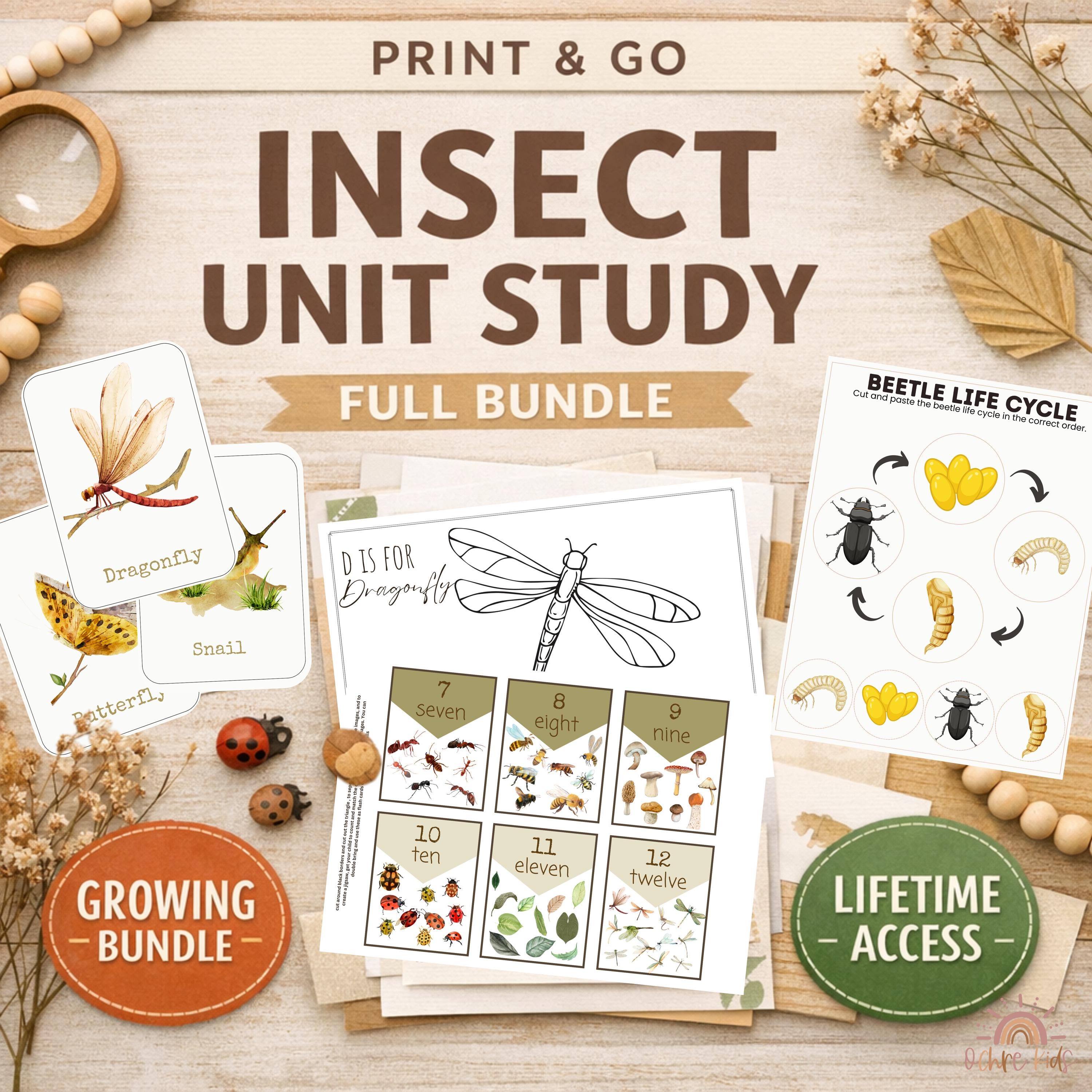 Insect Unit Study Insect Unit Study Homeschool Printable Bundle | Preschool Bug ...