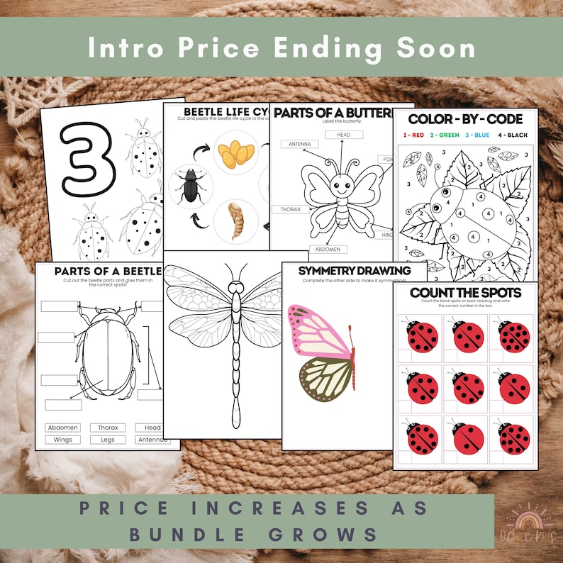 Insect Unit Study Homeschool Printable Bundle | Preschool Bug ...
