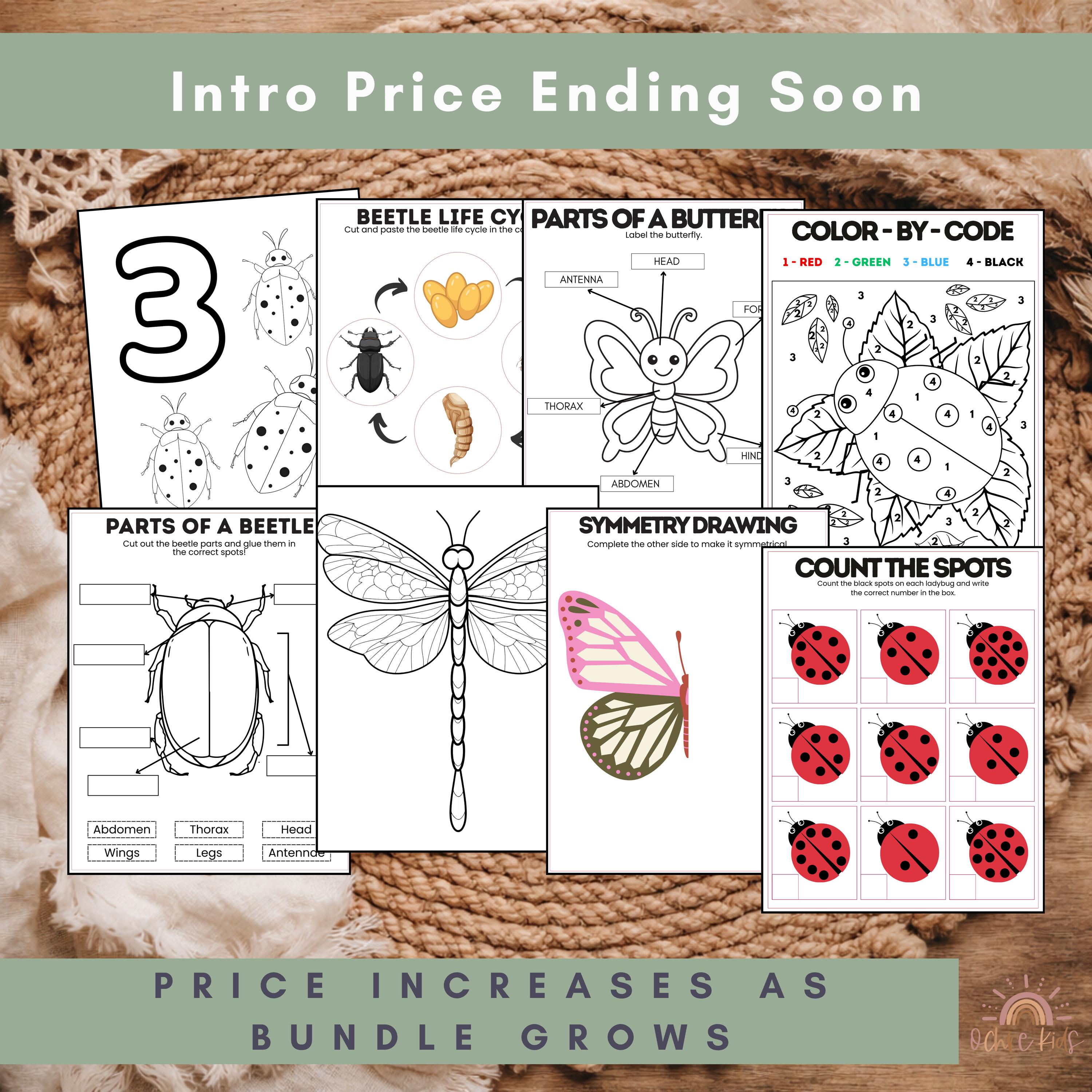 Insect Unit Study Homeschool Printable Bundle | Preschool Bug ...