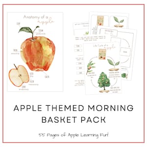 May include: A printable pack of educational resources for children featuring an apple theme. The pack includes a diagram of the anatomy of an apple, a life cycle of an apple diagram, and other activities. The text "Apple Themed Morning Basket Pack" and "55 Pages of Apple Learning Fun!" is included in the image.