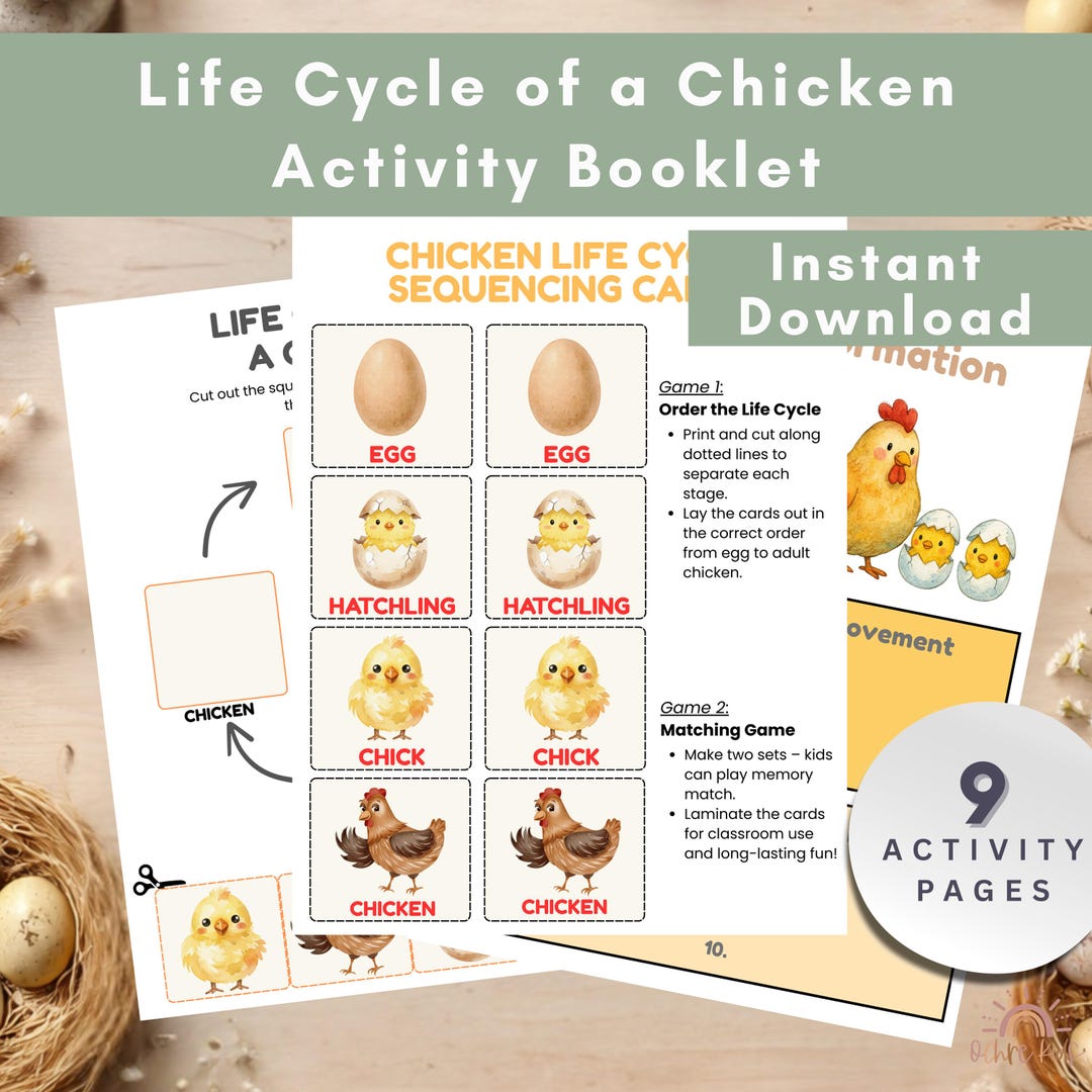 Chicken Life Cycle Printable Worksheets | Farm Animal Science Unit ...