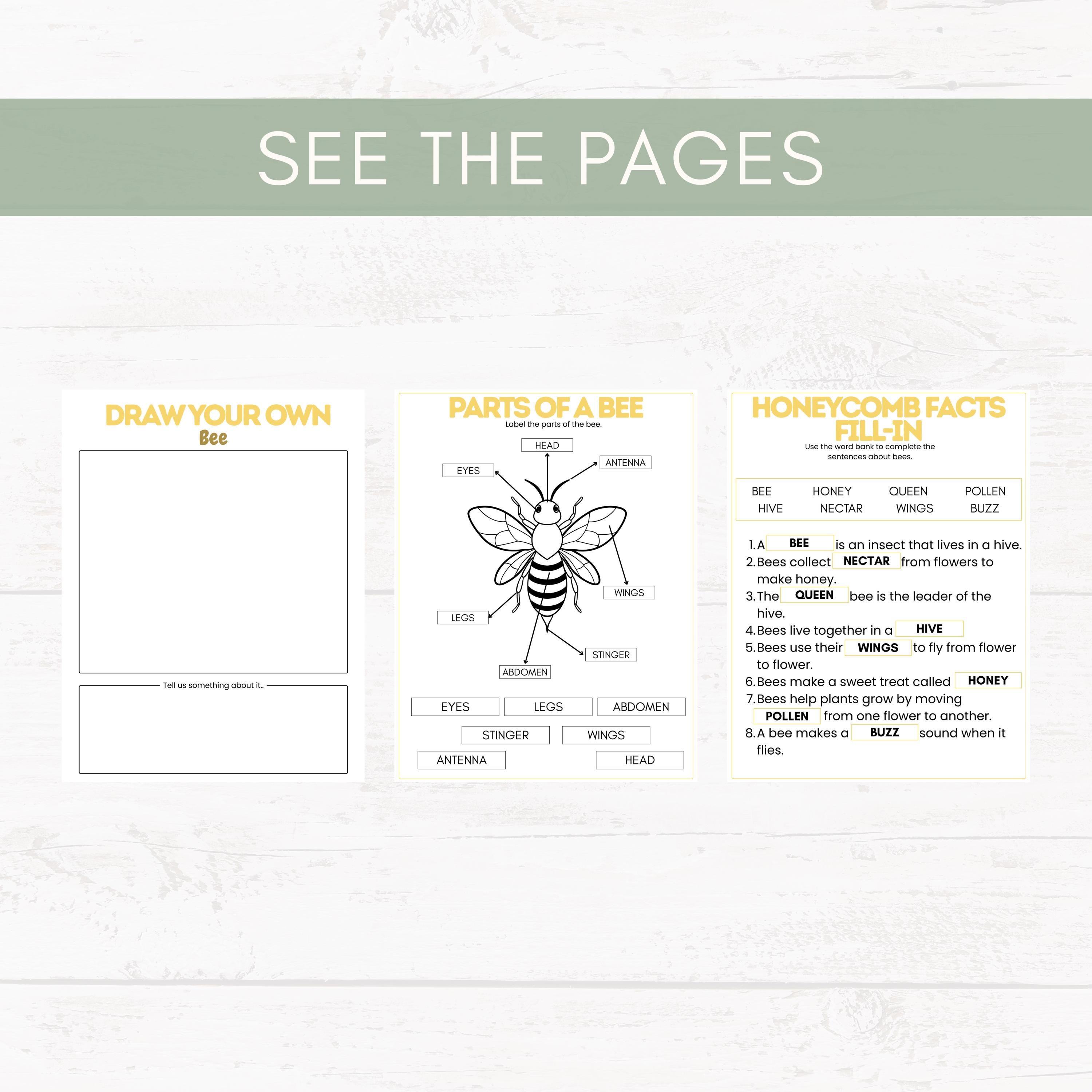 Bee Activity Bundle for Kids, Bee Unit Study Homeschool, Preschool ...