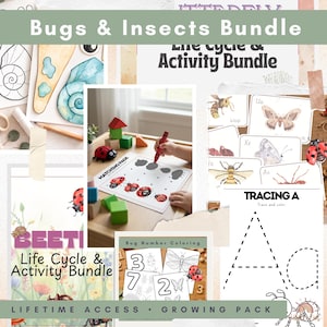 May include: A bundle of educational materials with a bug theme. Includes activity pages with ladybugs, tracing exercises, and coloring sheets. The text "Bugs & Insects Bundle" and "Life Cycle & Activity Bundle" are visible.
