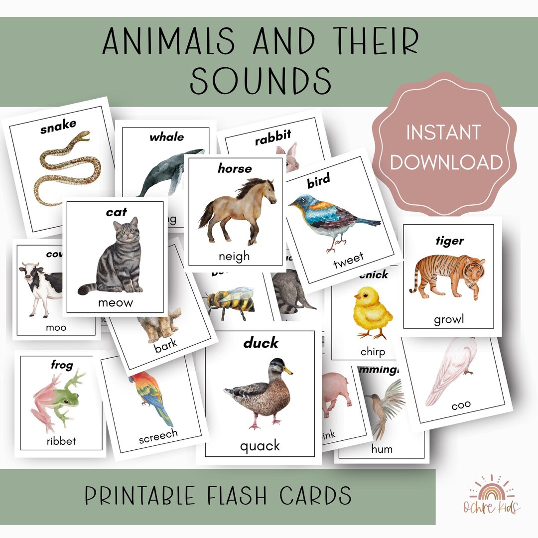 Animals and Their Sounds Flash Cards Animal Flash Cards Early Literacy ...