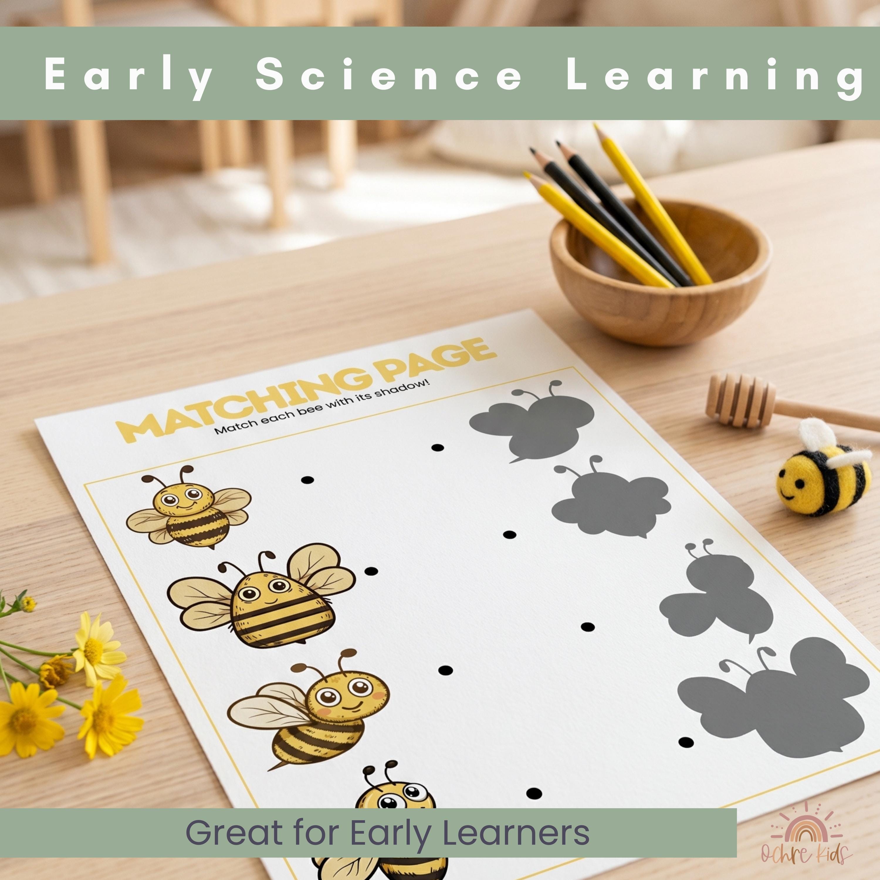 Life Cycle Unit Study Bundle for Kids Ages 3–7, Insect & Animal Life ...