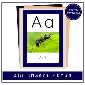 ABC Insect & Bug Flashcards – Tema Azul Escuro | Cartões de Aprendizagem Montessori A-Z | Exibição de Alfabeto Imprimível para Pré-escola | Aprendizagem Inicial
