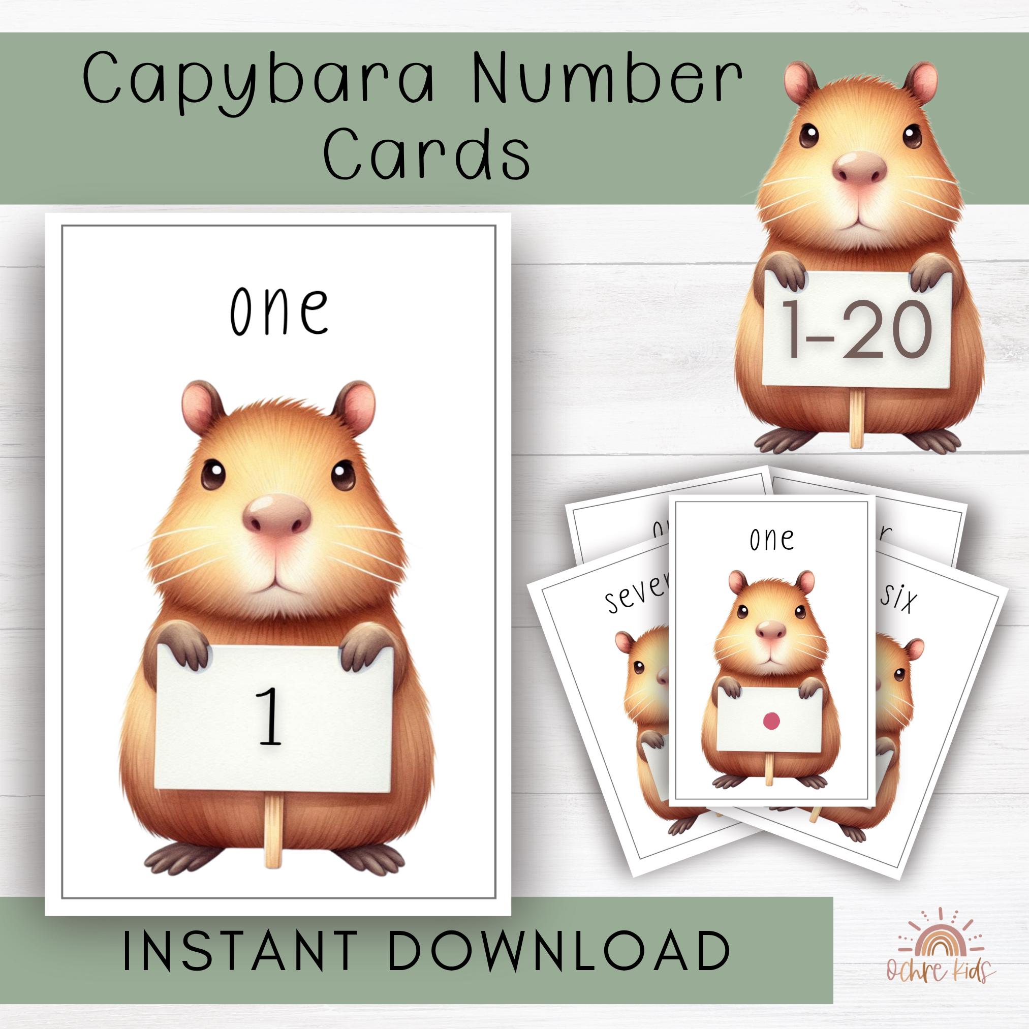 Capybara Numbers 1-20 Cards for Preschool Classroom Numeral Early