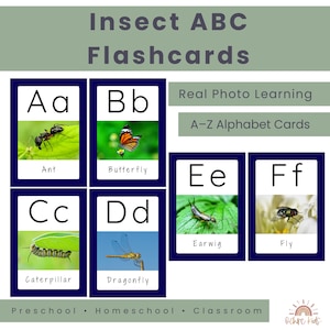 May include: Insect ABC flashcards featuring real photos of insects. The cards display the letters A-F with corresponding insects: Ant, Butterfly, Caterpillar, Dragonfly, Earwig, and Fly. The cards are designed for preschool, homeschool, and classroom use.