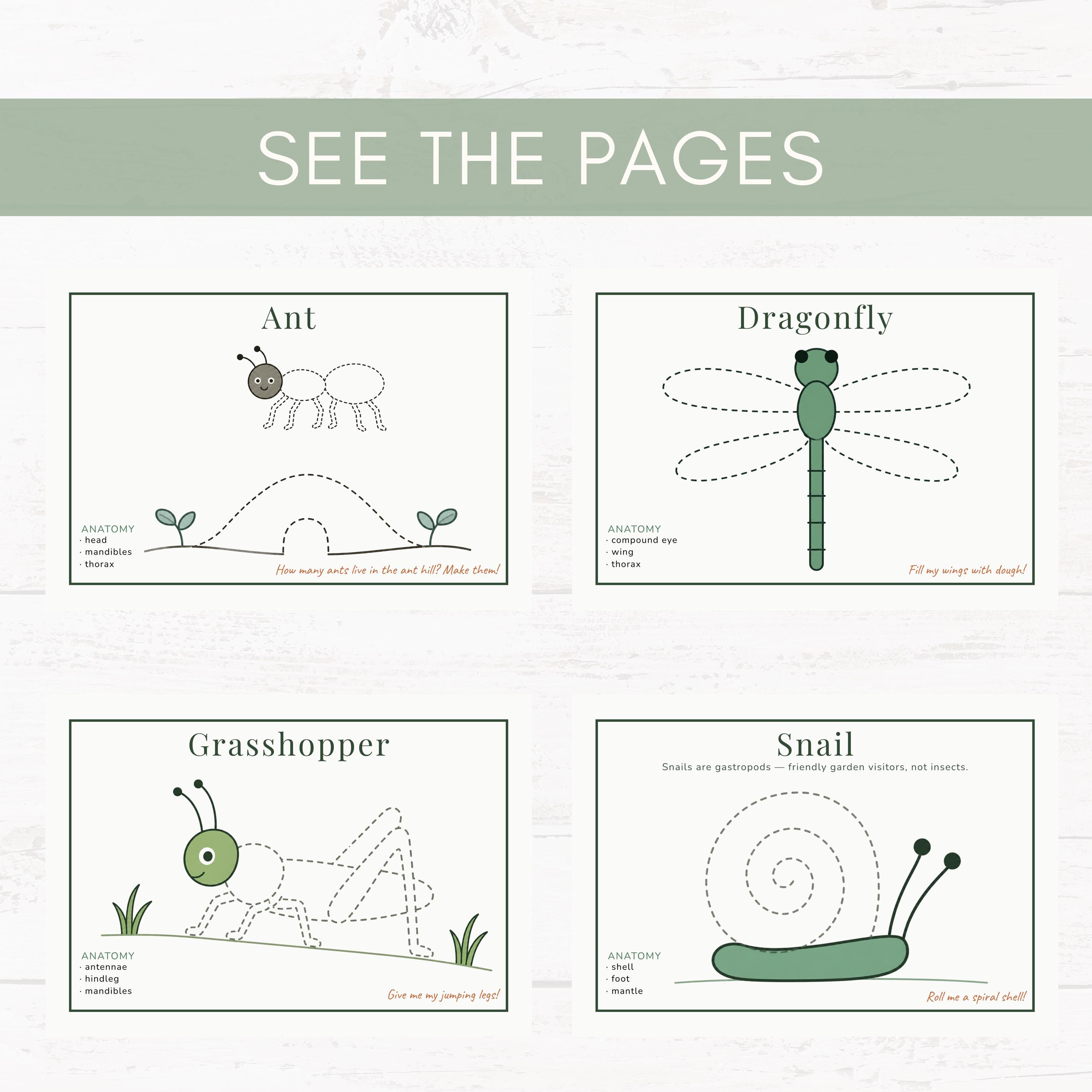 Insect Playdough Mats Printable, Bug Activities for Preschool, Insect ...