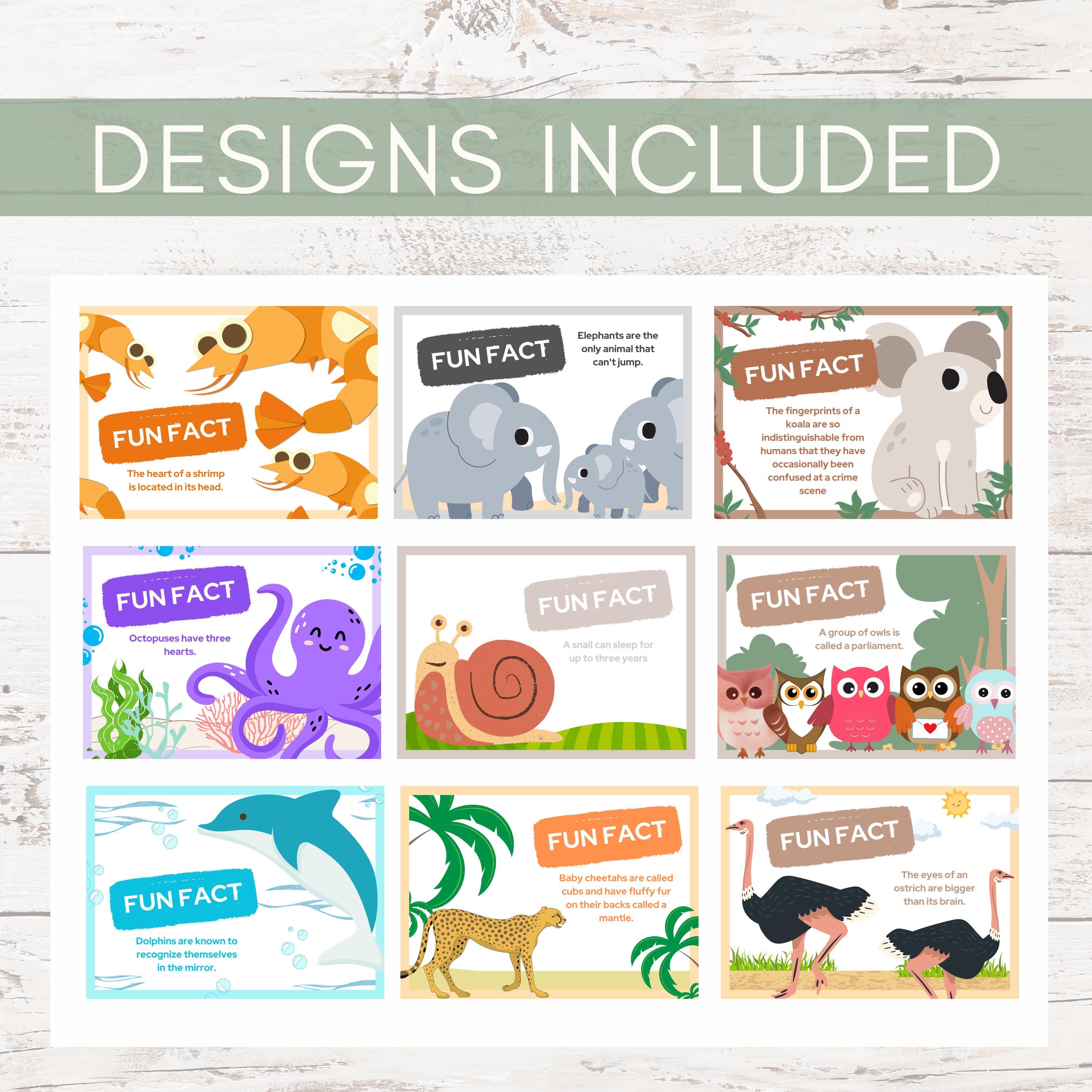 Animal Fun Facts Cards Lunchbox Notes for Kids Preschool Learning Cards ...