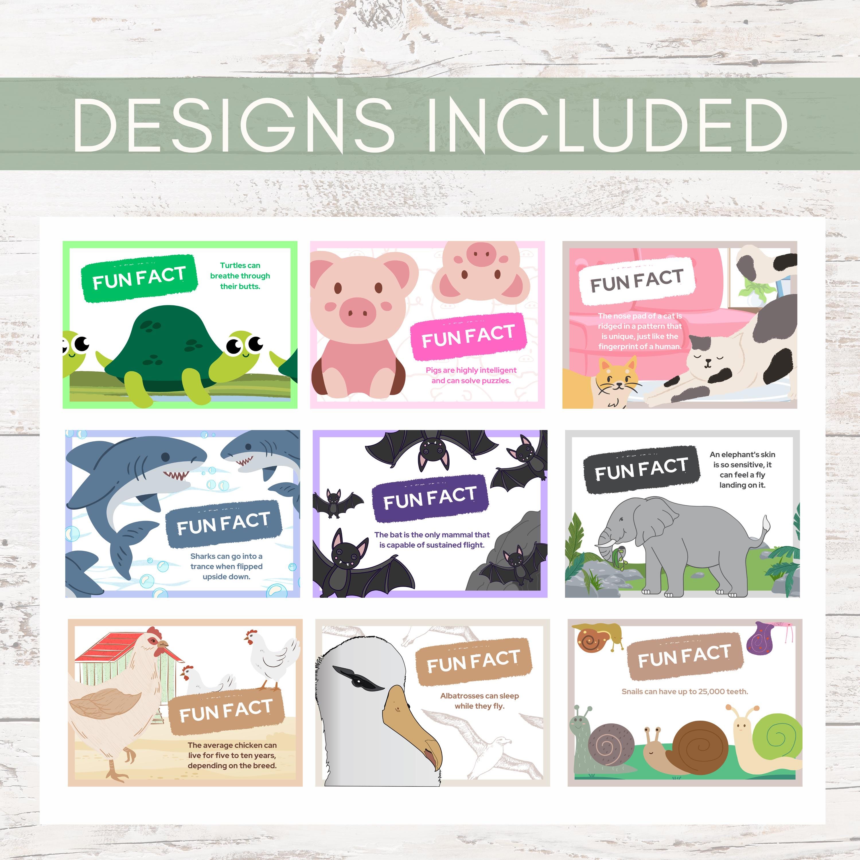 Animal Fun Facts Cards Lunchbox Notes for Kids Preschool Learning Cards ...