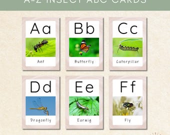 Insect Alphabet Flashcards A–Z | Bug ABC Cards for Preschool & Kindergarten | Printable Montessori Learning | PDF + PNG Instant Download