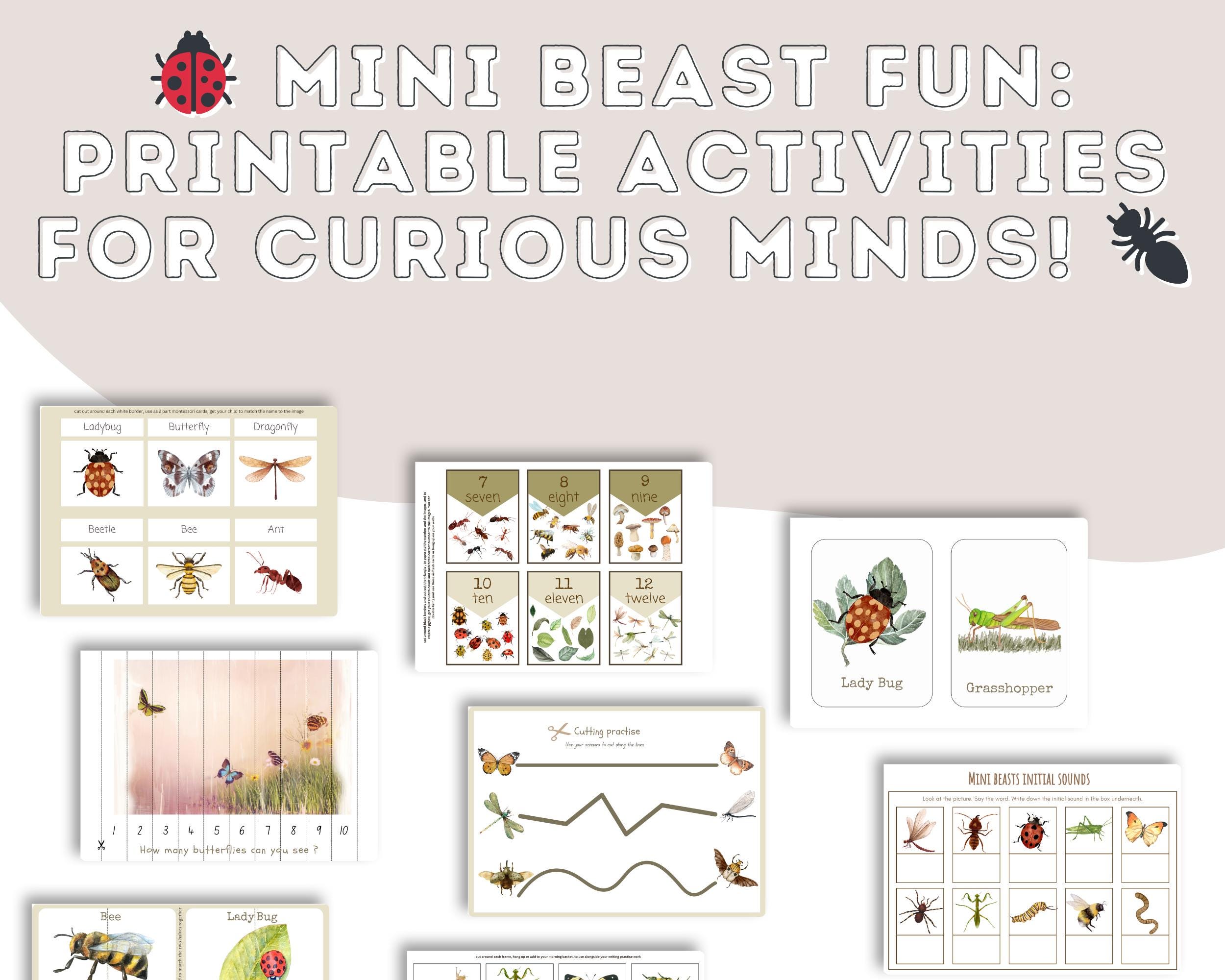 Mini Beast Printable Activity Booklet – Bug STEM Learning Pack for Kids ...