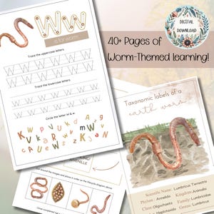 Peut inclure: Pages imprimables éducatives sur le thème du ver. Comprend le traçage des lettres majuscules et minuscules, un schéma du cycle de vie et des étiquettes taxonomiques. Le texte indique "W is for worm" et "40+ Pages of Worm-Themed learning!" Téléchargement numérique.