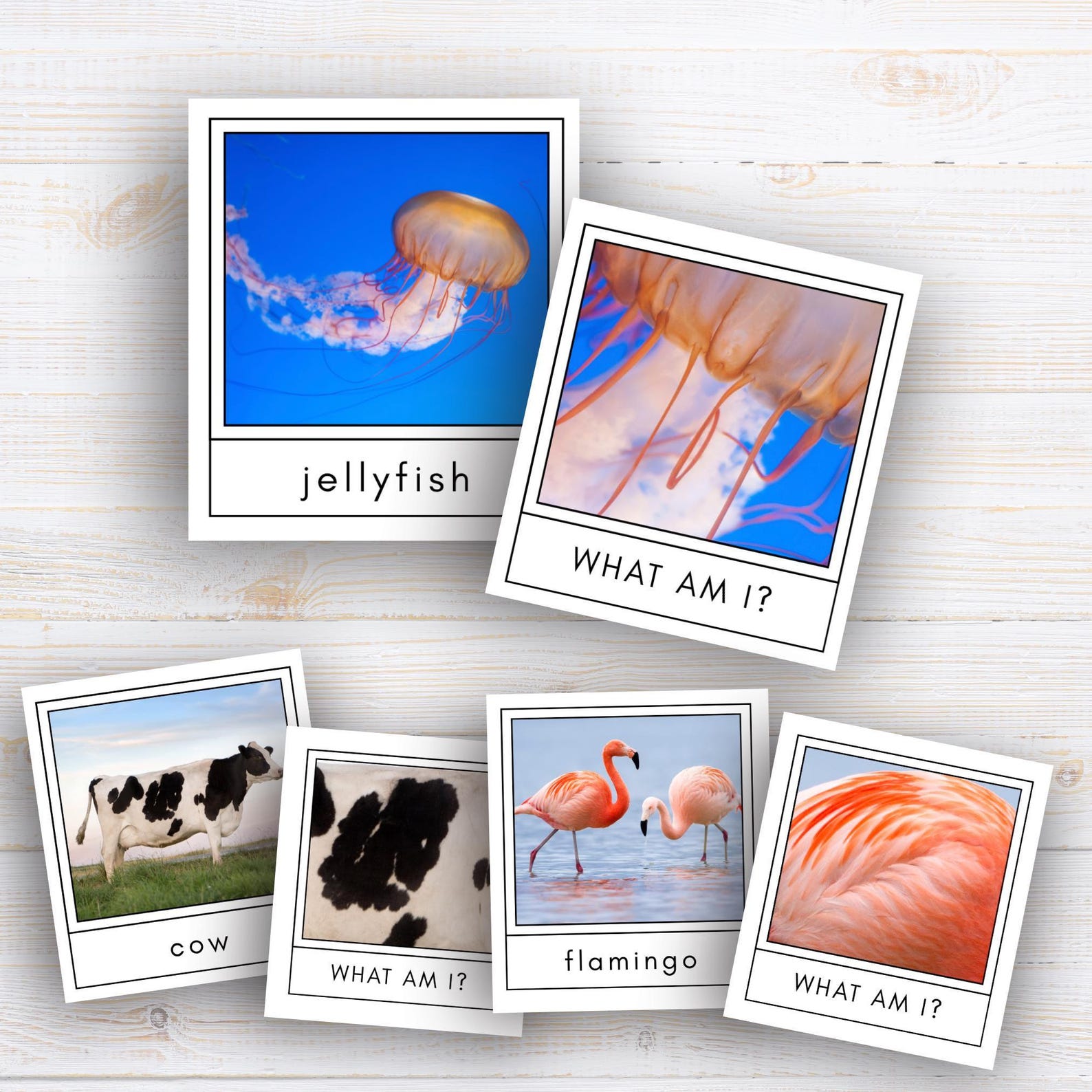 Animal Matching Game Montessori Print for Kids Pattern Matching Cards ...