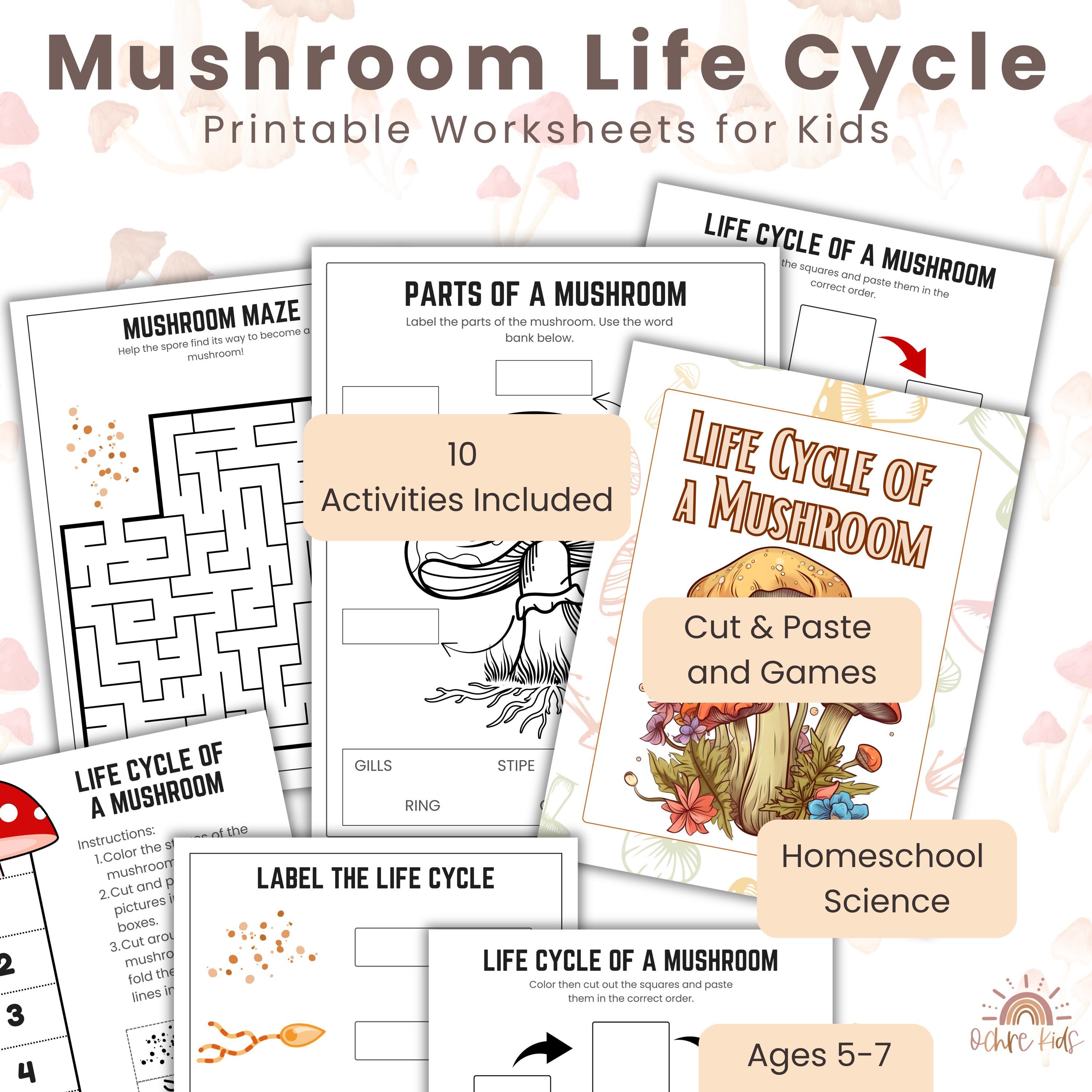 Life Cycle Worksheets for Kids | Mushroom Science Printable Activity ...