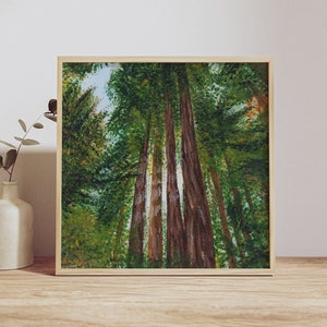 Serene Redwoods Forest Art Print: Morning Light Nature Scene for Home Decor & Outdoor Enthusiasts