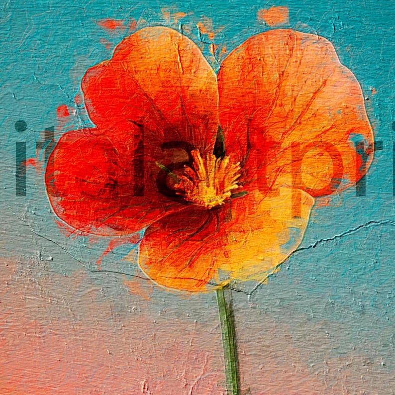 Vibrant Orange Poppy Art Print Minimalist Floral Wall Art With Blue and