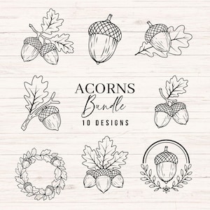 Puede incluir: Una colección digital de ilustraciones de arte lineal en blanco y negro con bellotas y hojas de roble. El texto central dice ACORNS Bundle 10 DESIGNS. Los gráficos incluyen bellotas individuales, racimos en ramas, una corona circular y diseños enmarcados.