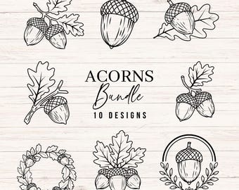 May include: A digital collection of black and white line art illustrations featuring acorns and oak leaves. The central text reads ACORNS Bundle 10 DESIGNS. The graphics include individual acorns, clusters on branches, a circular wreath, and framed designs.