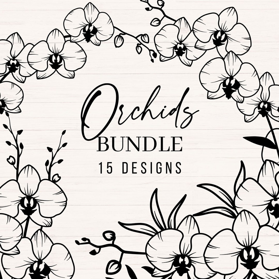 Orchids Svg Bundle, Orchid Svg, Orchid Bouquet Svg, Png, Dxf, Wedding ...