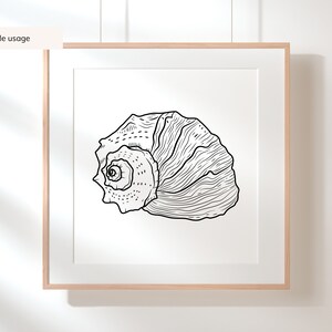 May include: A framed art print featuring a detailed black and white illustration of a seashell. The artwork is displayed in a light wood frame with a white mat, hanging against a white wall. The text "Sample usage" is in the upper left corner.