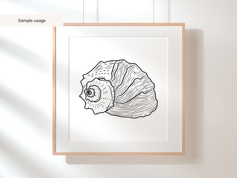 May include: A framed art print featuring a detailed black and white illustration of a seashell. The artwork is displayed in a light wood frame with a white mat, hanging against a white wall. The text "Sample usage" is in the upper left corner.