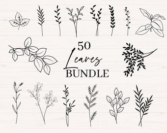 Leaves svg, jpg, png, Leaves & Branches svg, Botanical Elements svg, Botanical Bundle, Floral svg, Botanical Clipart, Commercial Use