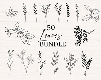 Liście svg, jpg, png, Liście i gałęzie svg, Elementy botaniczne svg, Pakiet botaniczny, Kwiatowy svg, Clipart botaniczny, Wykorzystanie komercyjne