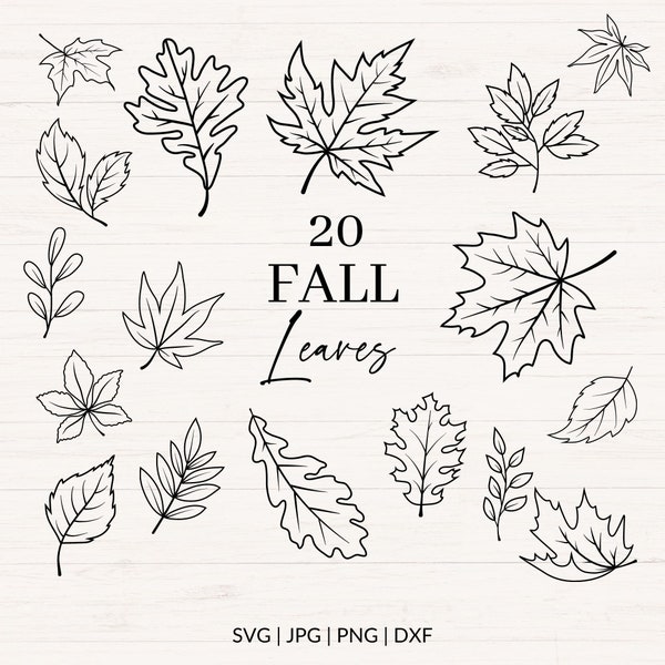 Fall leaves svg, png, jpg, dxf, Fall svg, Fall leaf svg, Fall clipart bundle, Hand drawn leaves, Commercial use svg, Cut files
