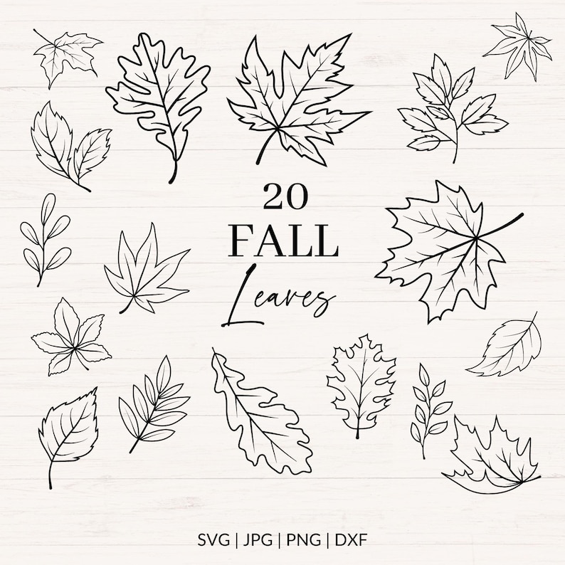 May include: A set of 20 black and white fall leaf illustrations. The leaves are drawn in a simple, minimalist style. The text "20 FALL Leaves" is written in the center of the image. The text "SVG | JPG | PNG | DXF" is written at the bottom of the image.