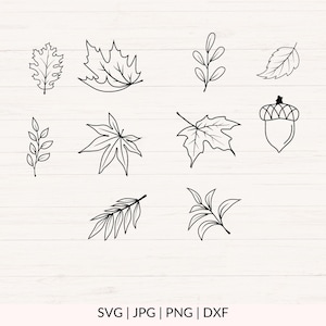 May include: A set of ten black and white line drawings of leaves and branches. The drawings are simple and elegant, and would be perfect for use in a variety of craft projects.