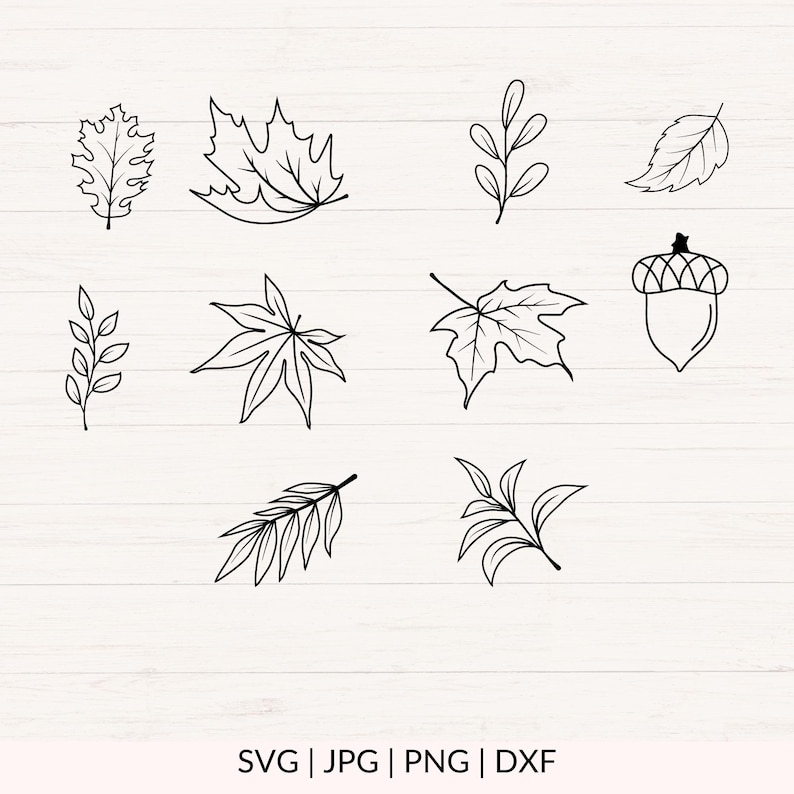 May include: A set of ten black and white line drawings of leaves and branches. The drawings are simple and elegant, and would be perfect for use in a variety of craft projects.