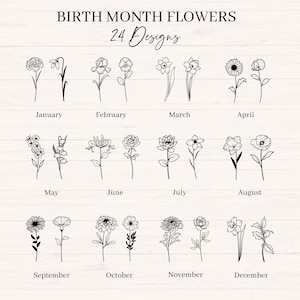 Puede incluir: Gráfico con 24 diseños florales, cada uno representando un mes de nacimiento. El texto "BIRTH MONTH FLOWERS" y "24 Designs" están en la parte superior. Cada mes está etiquetado con su nombre y una ilustración floral correspondiente.