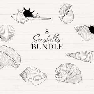 May include: An illustration of eight seashells in various shapes and sizes, rendered in black and white. The text "8 Seashells BUNDLE" is displayed in a decorative font. The image has a clean, minimalist aesthetic, perfect for coastal-themed designs.