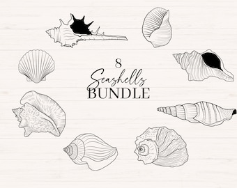 Seashells svg bundle | Includes png, jpg and svg | Shell line art, Seashell clipart, Minimalist sea shell graphic, Commercial use