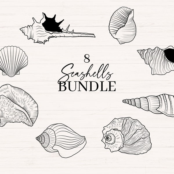 Seashells svg bundle | Includes png, jpg and svg | Shell line art, Seashell clipart, Minimalist sea shell graphic, Commercial use