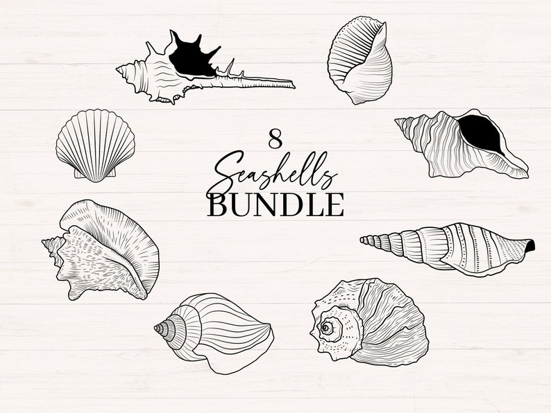 May include: An illustration of eight seashells in various shapes and sizes, rendered in black and white. The text "8 Seashells BUNDLE" is displayed in a decorative font. The image has a clean, minimalist aesthetic, perfect for coastal-themed designs.